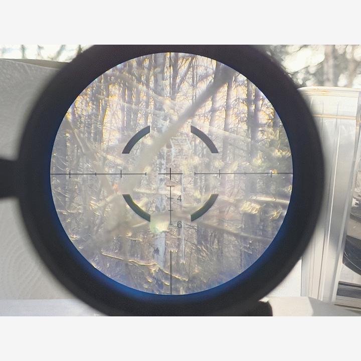 Specprecision VCOG 1-6x & "Piggyback" Mount