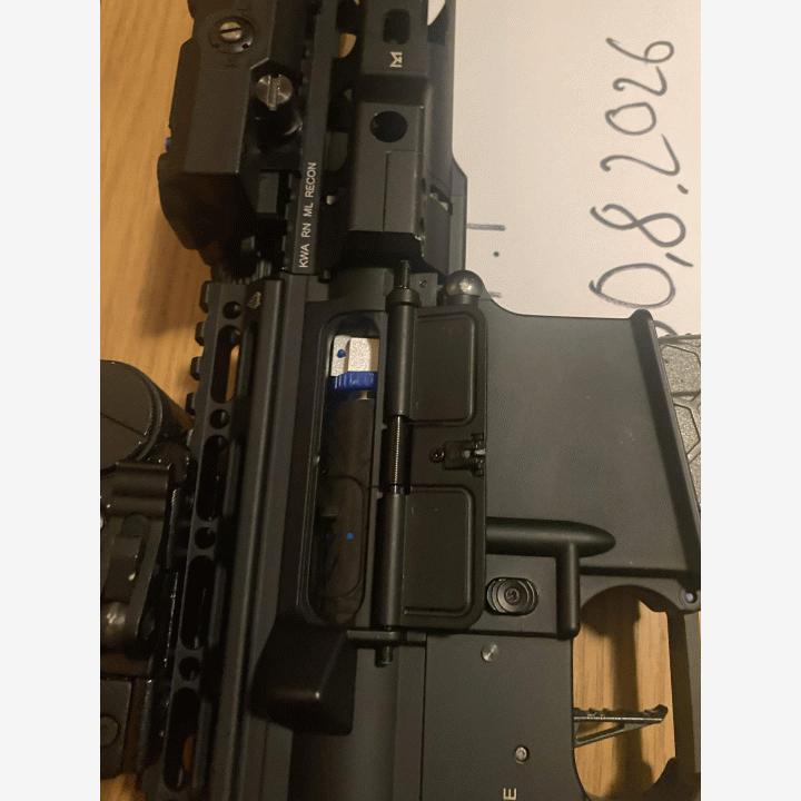 dsg ar 15