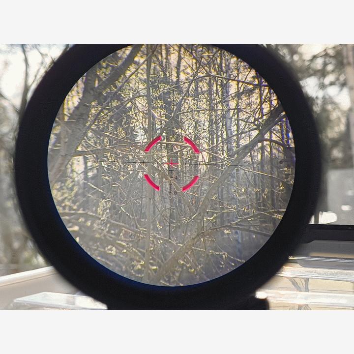 Specprecision VCOG 1-6x & "Piggyback" Mount