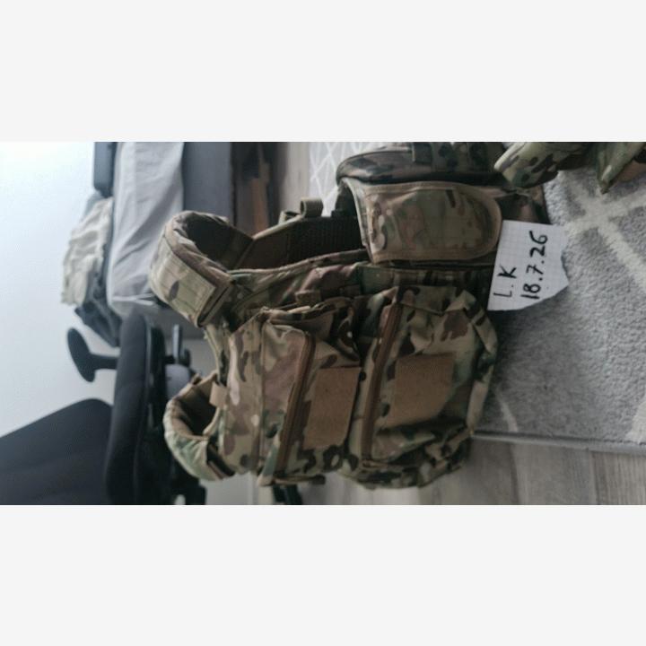 Warrior assault system DCS Plate carrier