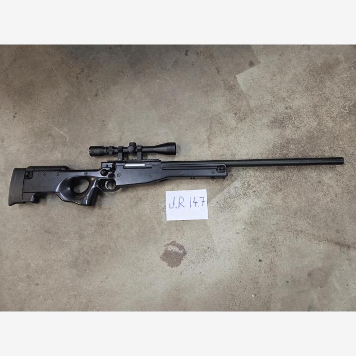 ASG AW308
