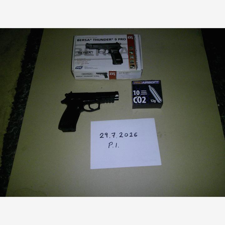 Bersa Thunder 9 pro