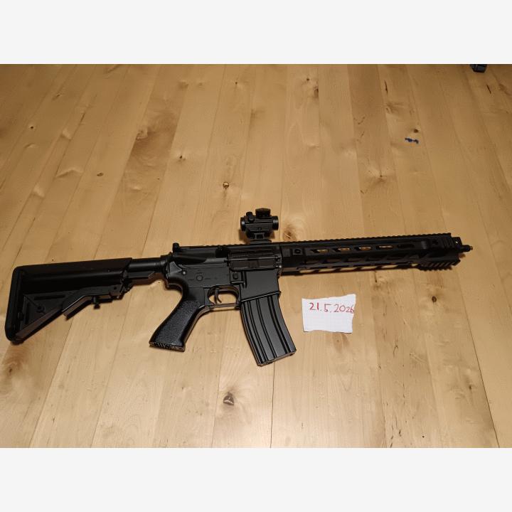 AR 15