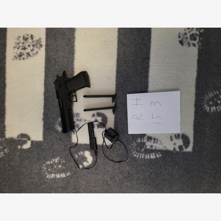 desert eagle (RIKKI)