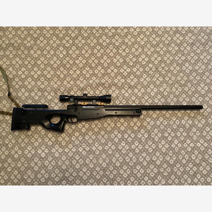 ASG AW .308