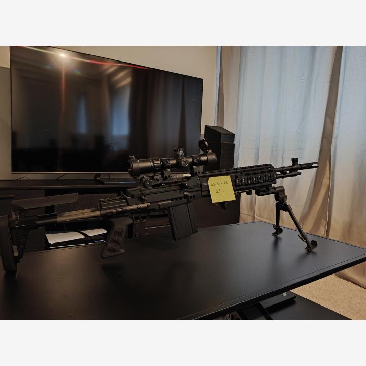 Cyma M14 EBR dmr