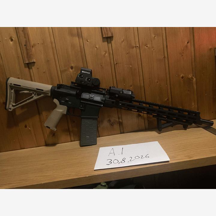 dsg ar 15