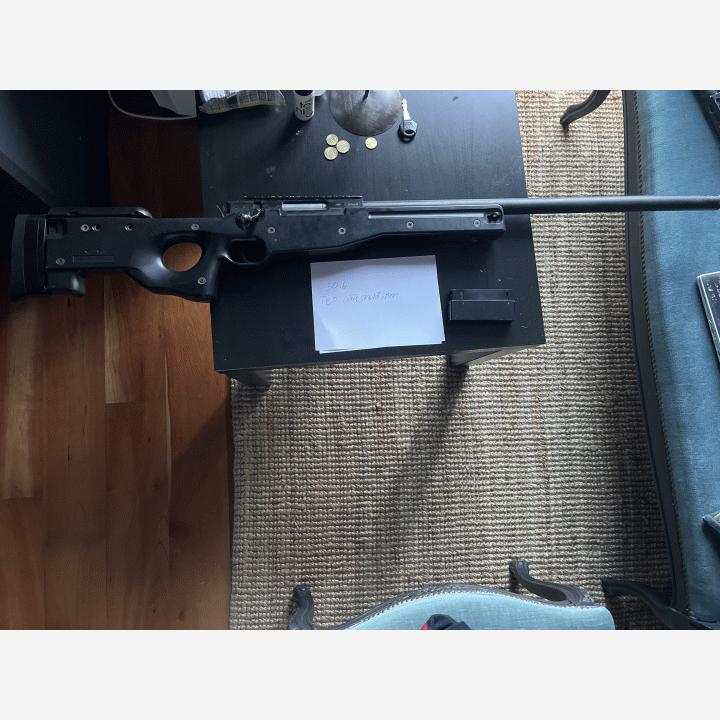 ASG AW .308
