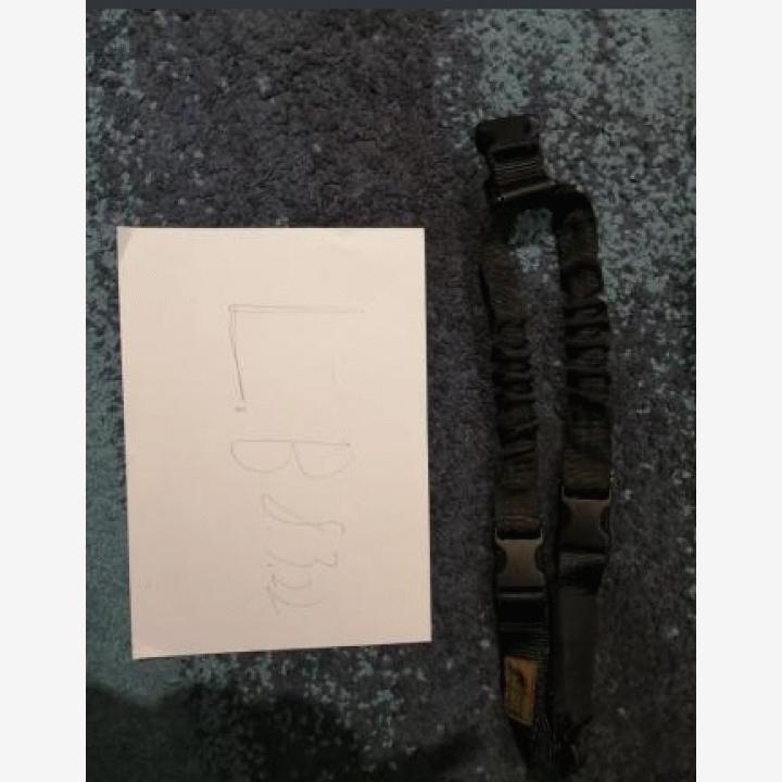 singlepoint sling