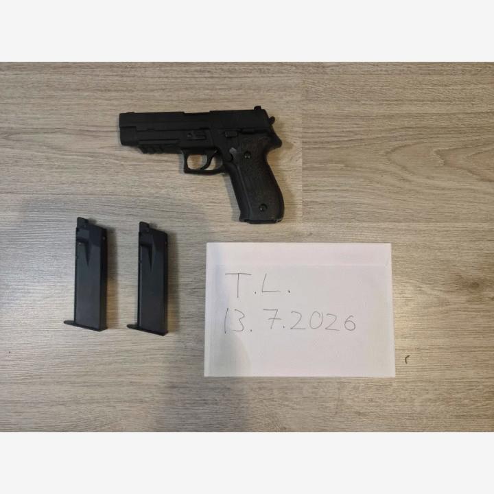 WE P226