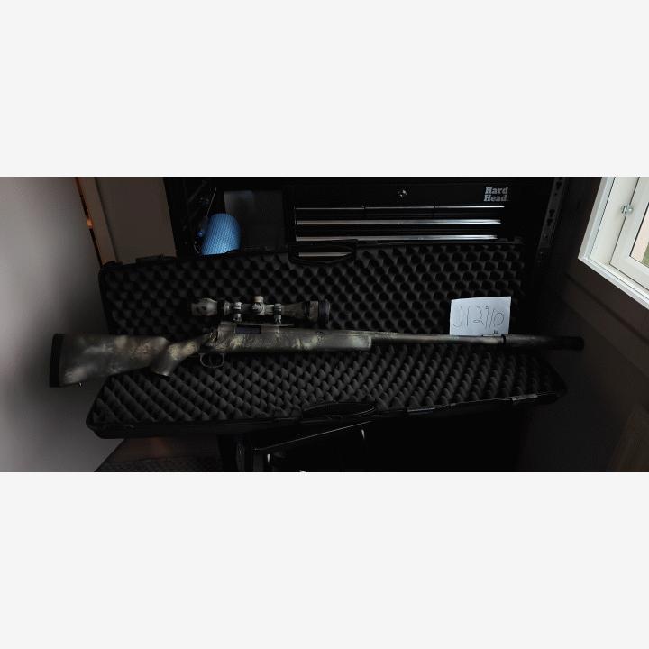 VSR-10